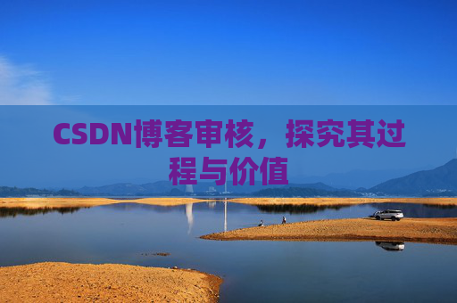 CSDN博客审核，探究其过程与价值